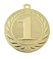 Kovová medaile 1.místo